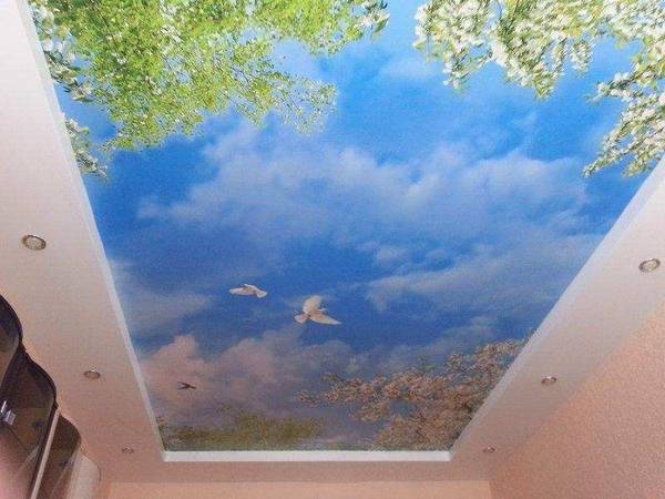 Потолок с изображением неба с фото