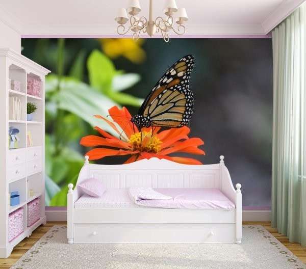 Фотообои с бабочками: выбираем самостоятельно - фото