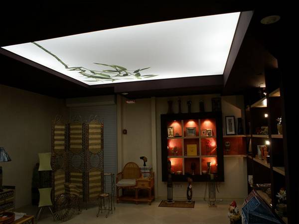 Полупрозрачный натяжной потолок с подсветкой — интересный декор в вашем доме с фото
